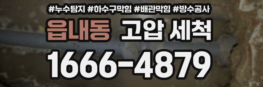 읍내동 고압 세척