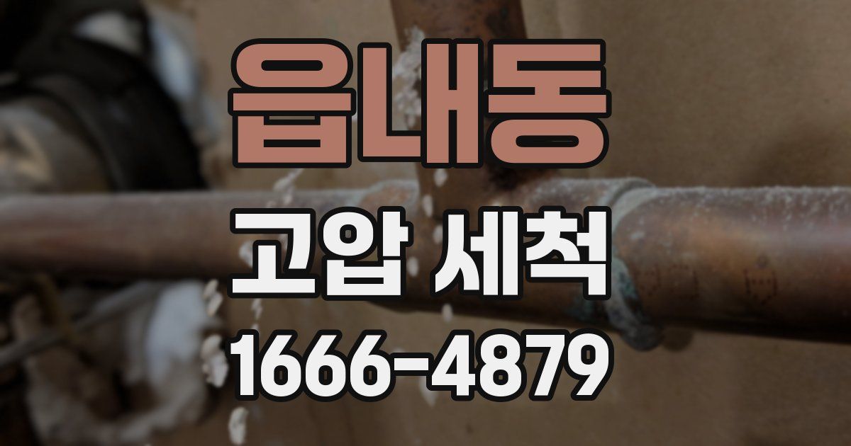 읍내동 고압 세척