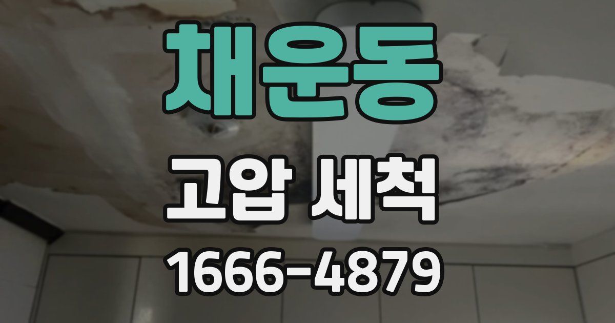 채운동 고압 세척