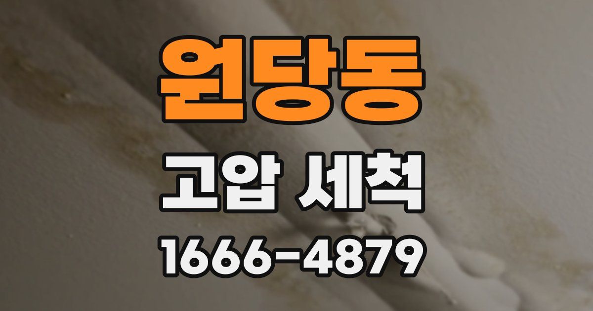 원당동 고압 세척