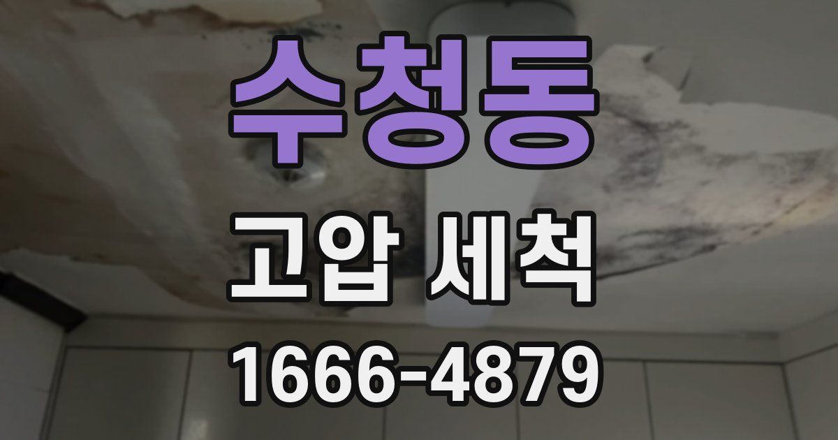 수청동 고압 세척