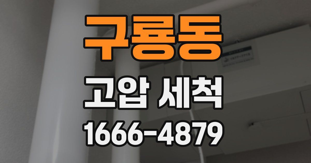 구룡동 고압 세척