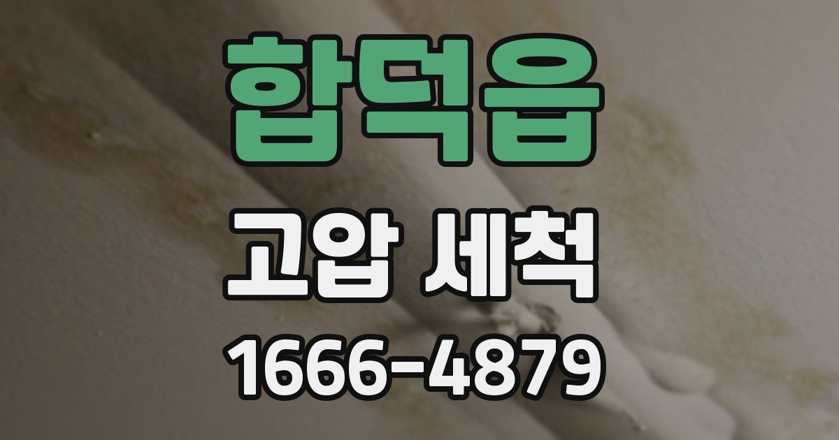 합덕읍 고압 세척