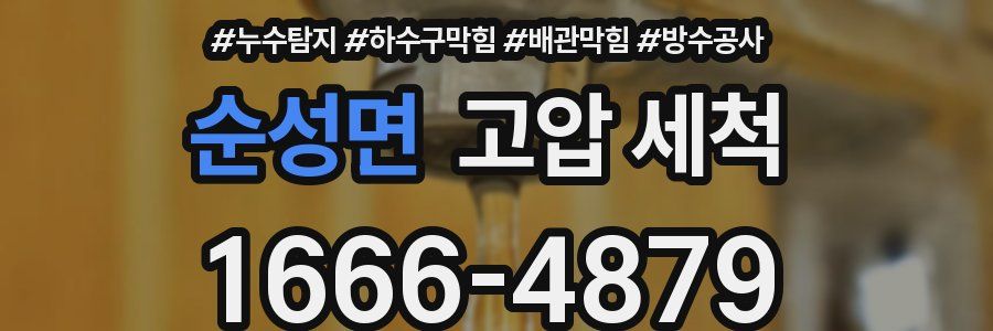 순성면 고압 세척