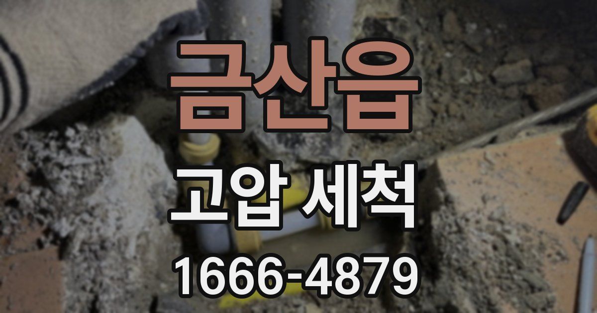 금산읍 고압 세척