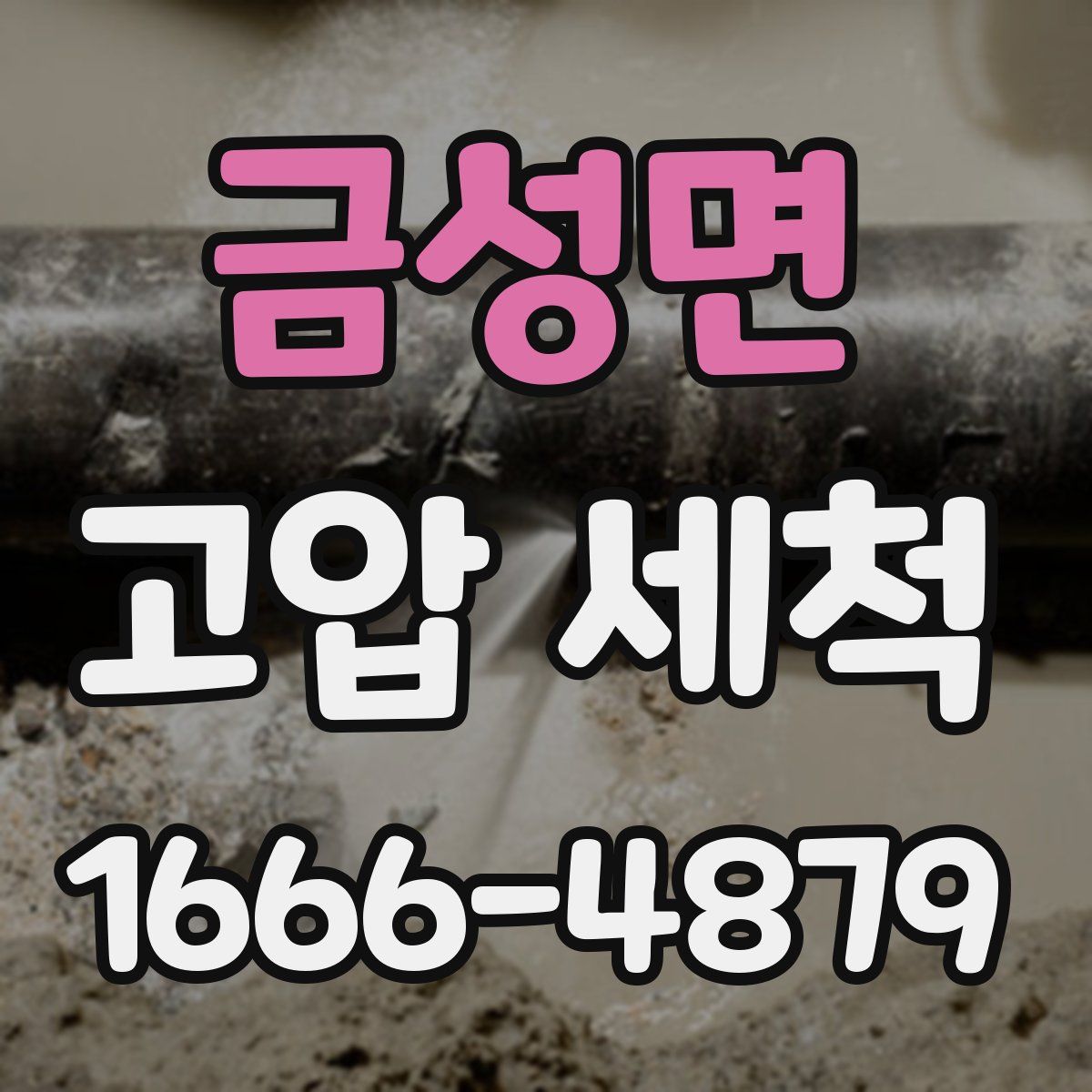 금성면 고압 세척