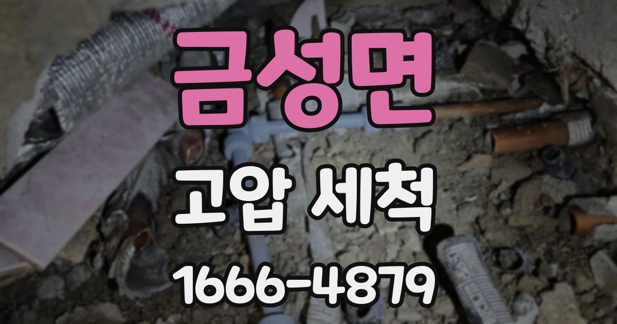 금성면 고압 세척