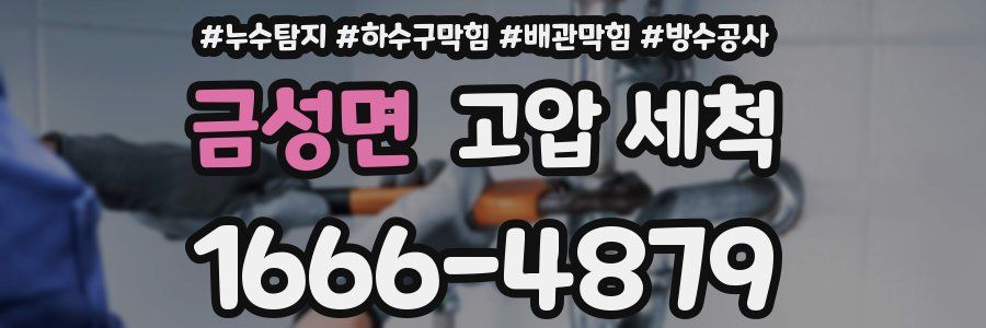 금성면 고압 세척