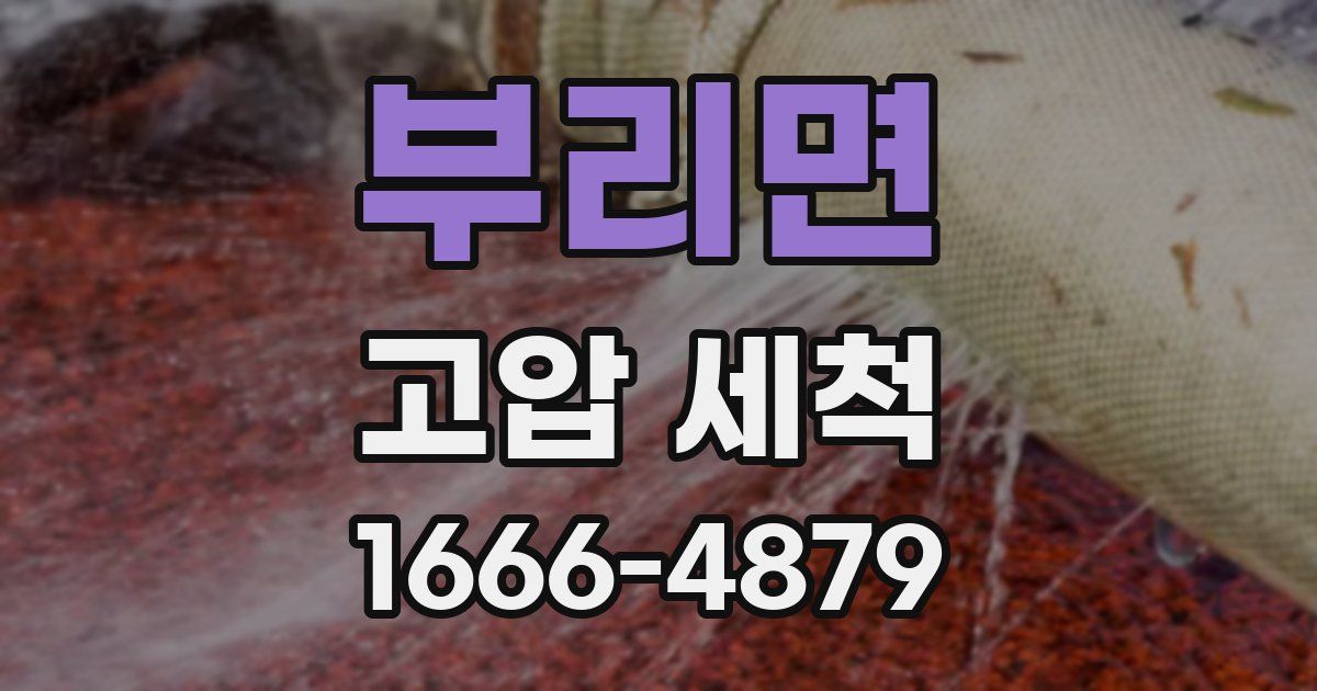 부리면 고압 세척