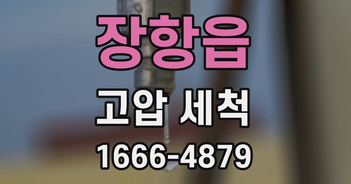 장항읍 고압 세척