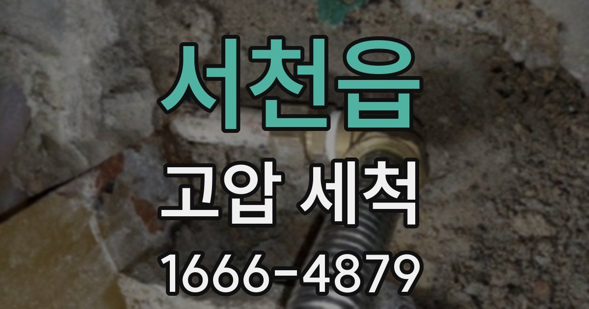 서천읍 고압 세척