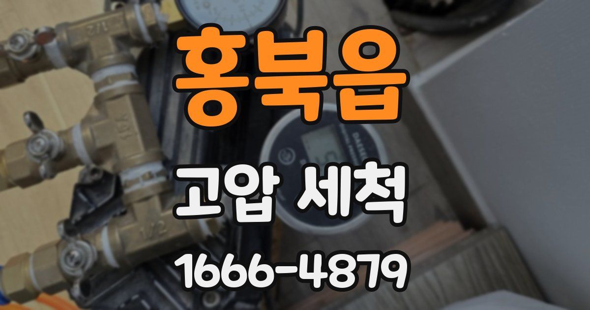 홍북읍 고압 세척