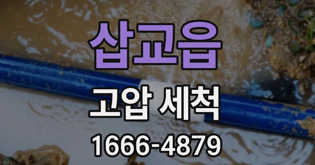 삽교읍 고압 세척