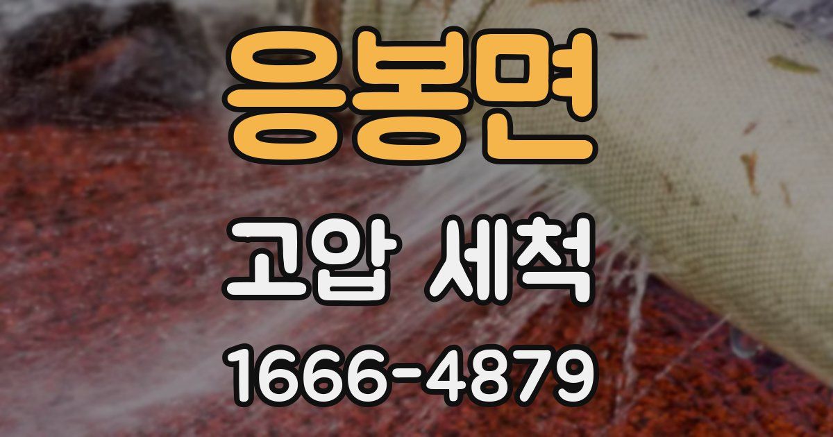 응봉면 고압 세척