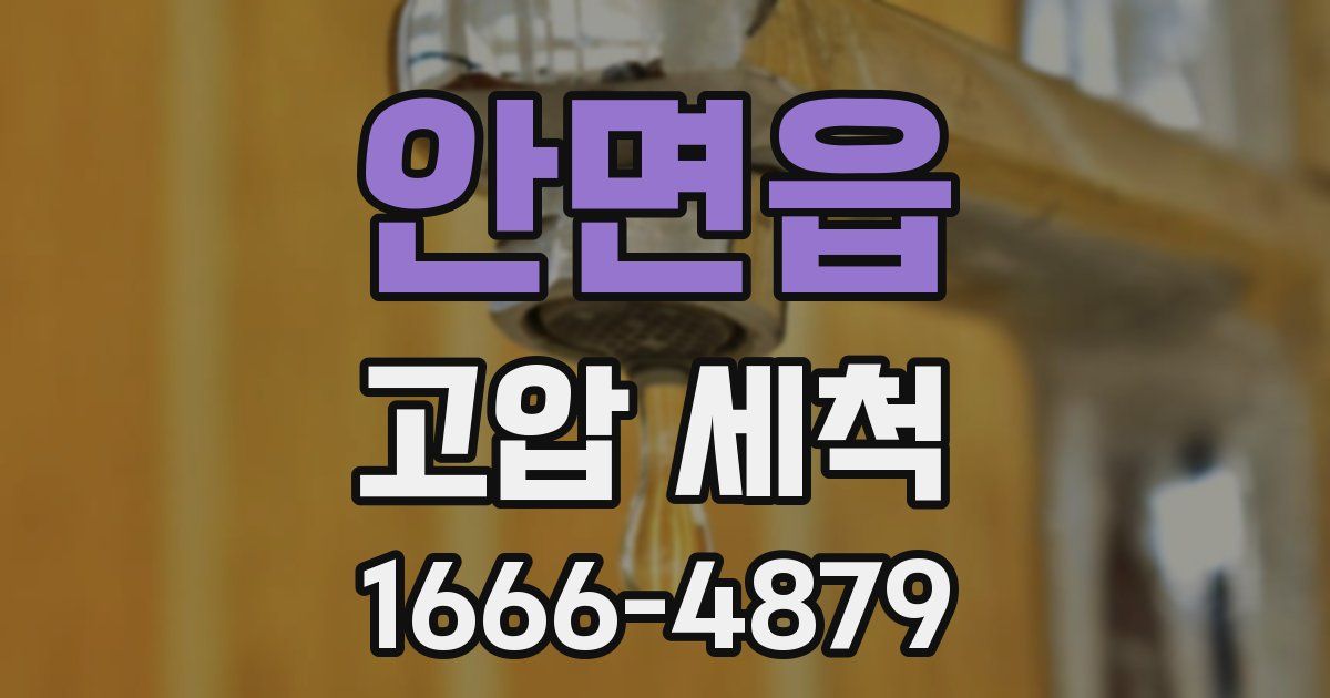 안면읍 고압 세척