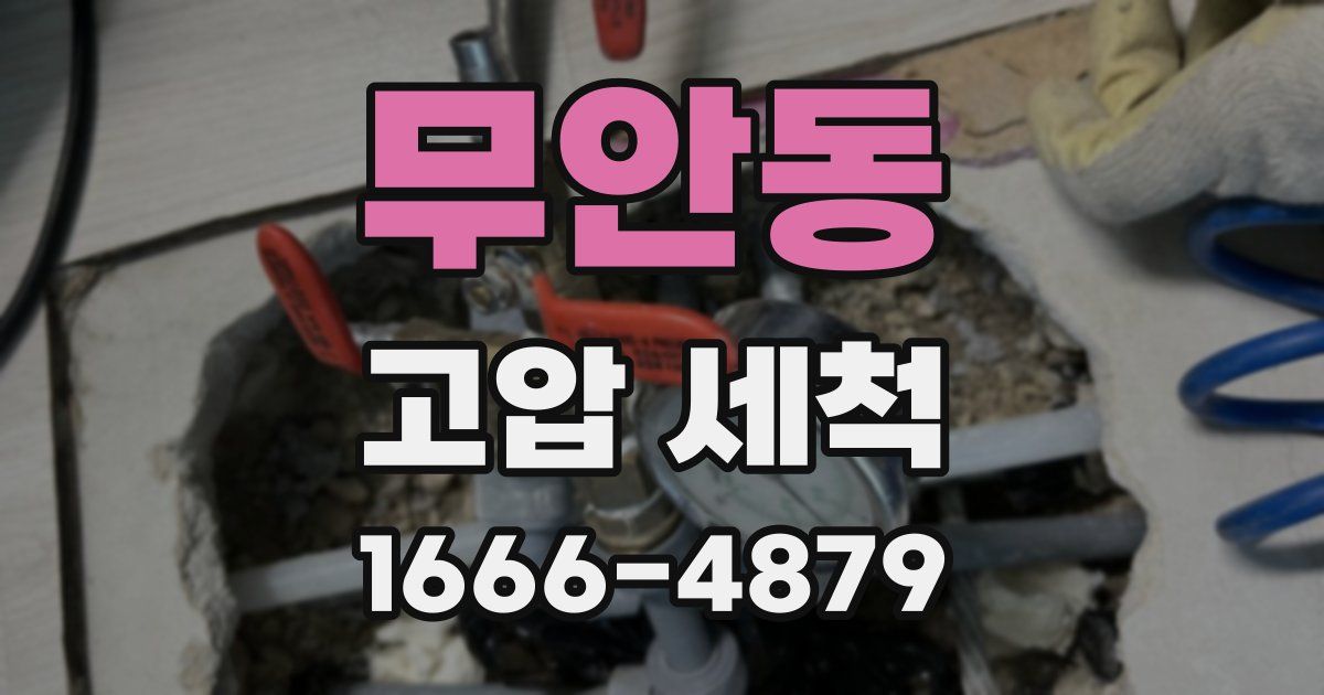 무안동 고압 세척