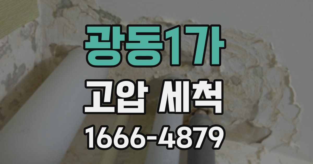 광동1가 고압 세척