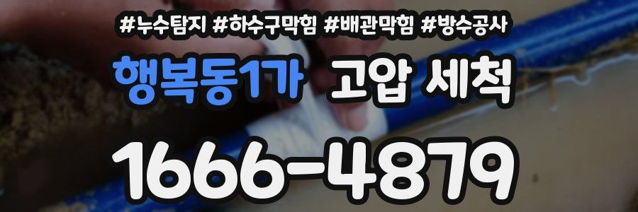 행복동1가 고압 세척