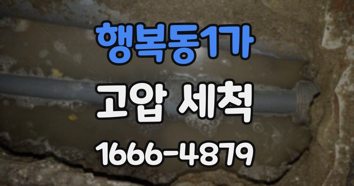 행복동1가 고압 세척