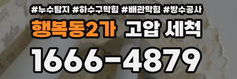 행복동2가 고압 세척