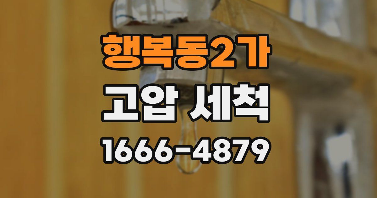 행복동2가 고압 세척