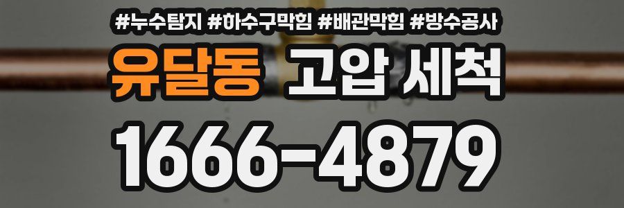 유달동 고압 세척