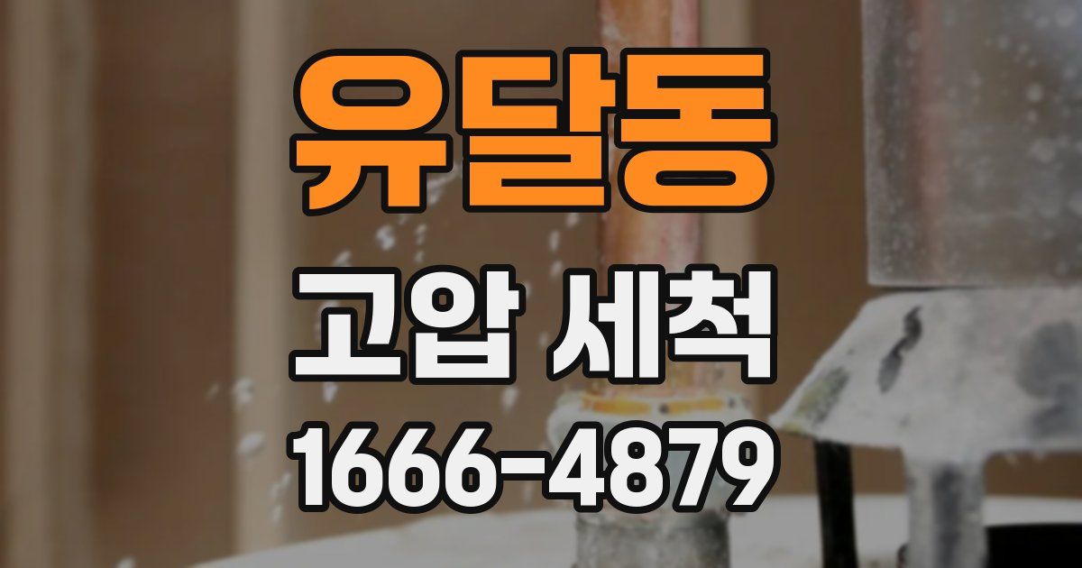 유달동 고압 세척