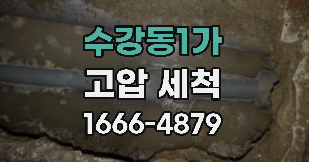 수강동1가 고압 세척