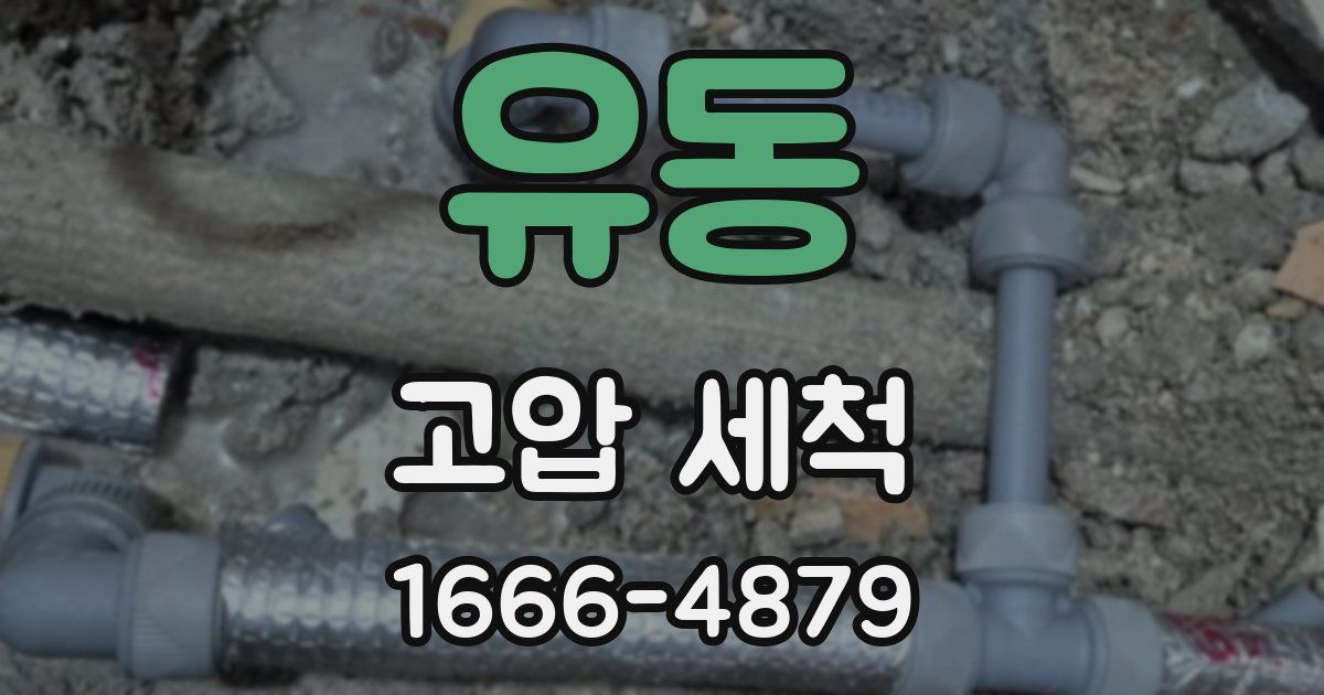 유동 고압 세척