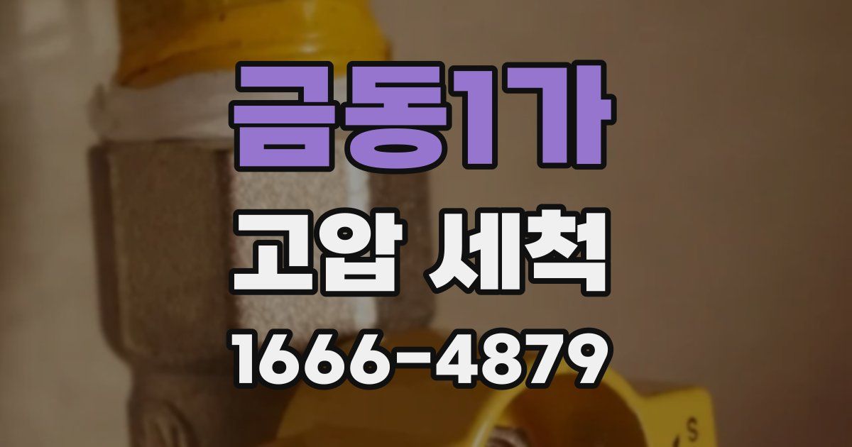 금동1가 고압 세척