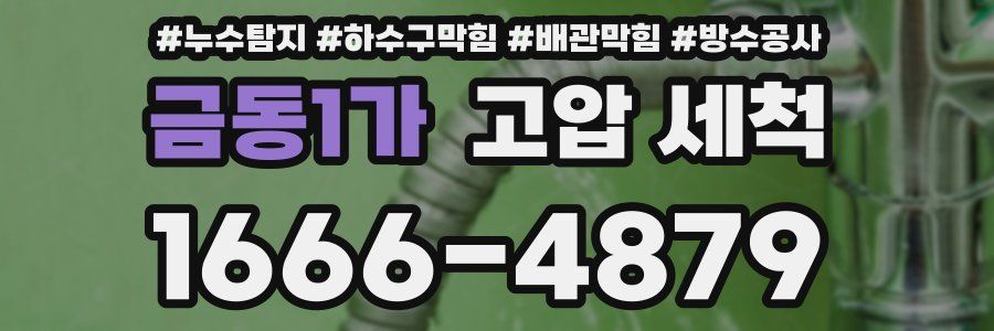 금동1가 고압 세척