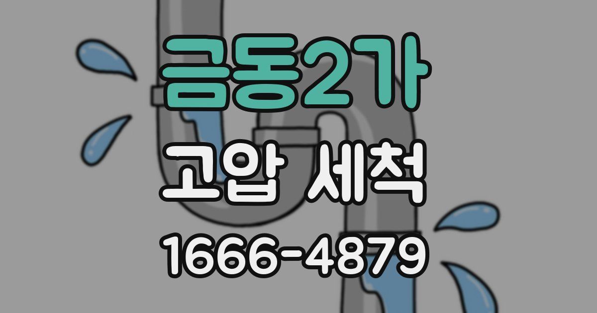 금동2가 고압 세척