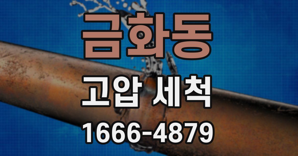 금화동 고압 세척