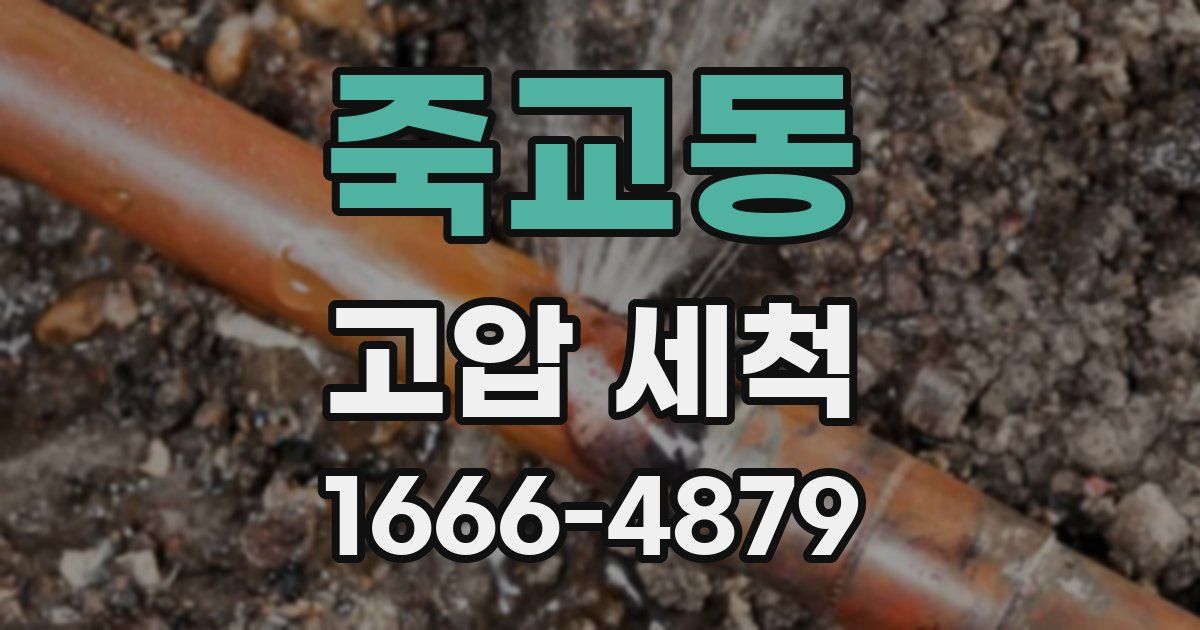 죽교동 고압 세척
