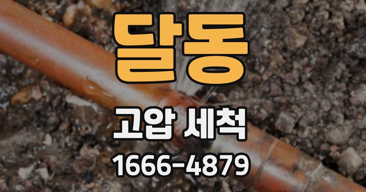 달동 고압 세척