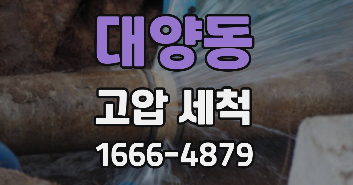 대양동 고압 세척