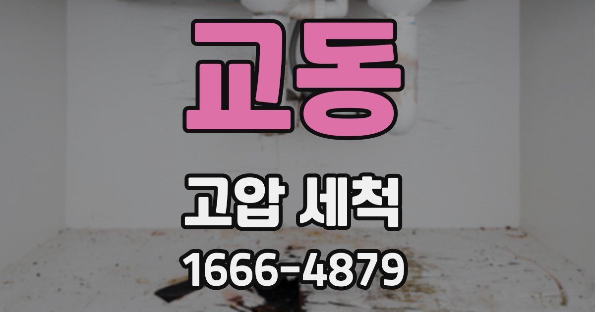 교동 고압 세척