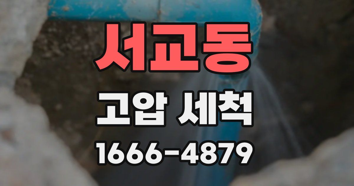 서교동 고압 세척