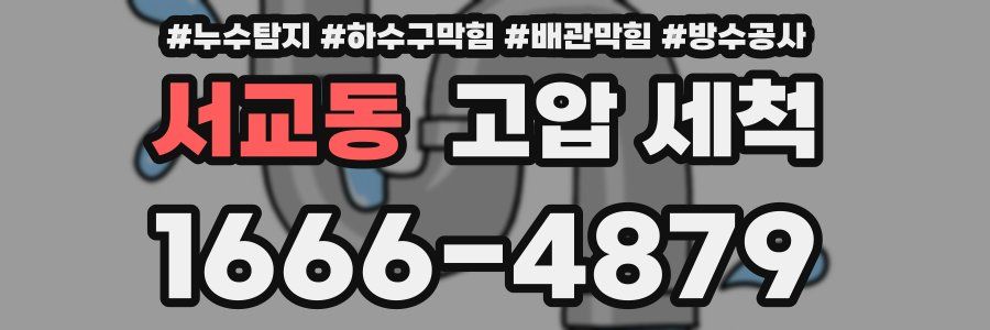 서교동 고압 세척