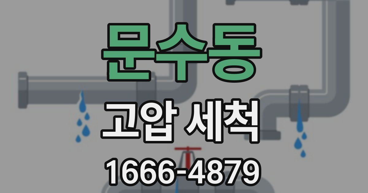 문수동 고압 세척