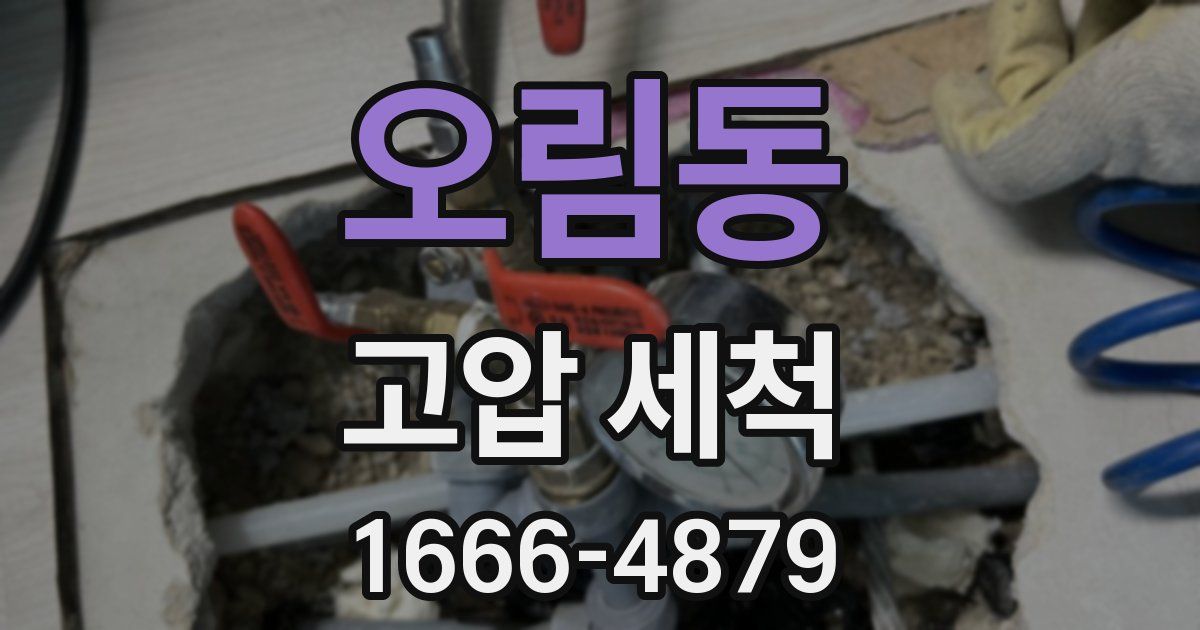 오림동 고압 세척