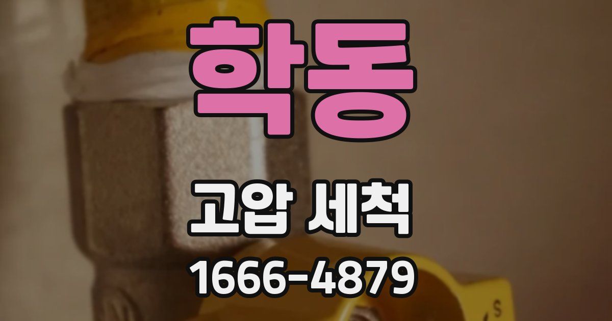 학동 고압 세척