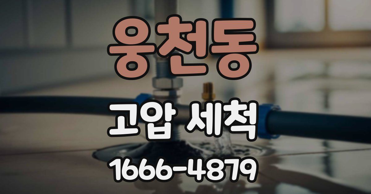 웅천동 고압 세척