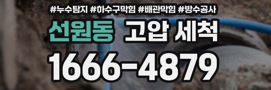 선원동 고압 세척