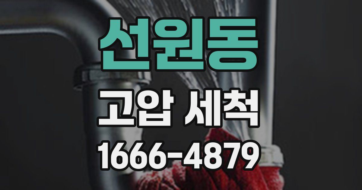 선원동 고압 세척