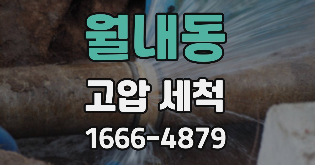월내동 고압 세척