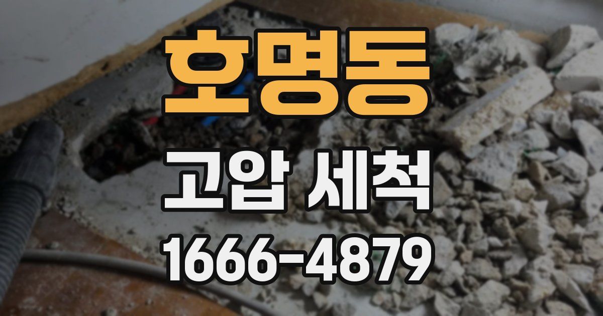 호명동 고압 세척