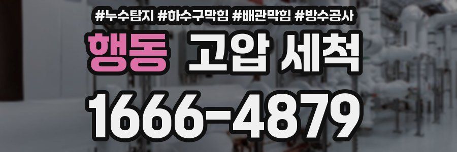 행동 고압 세척