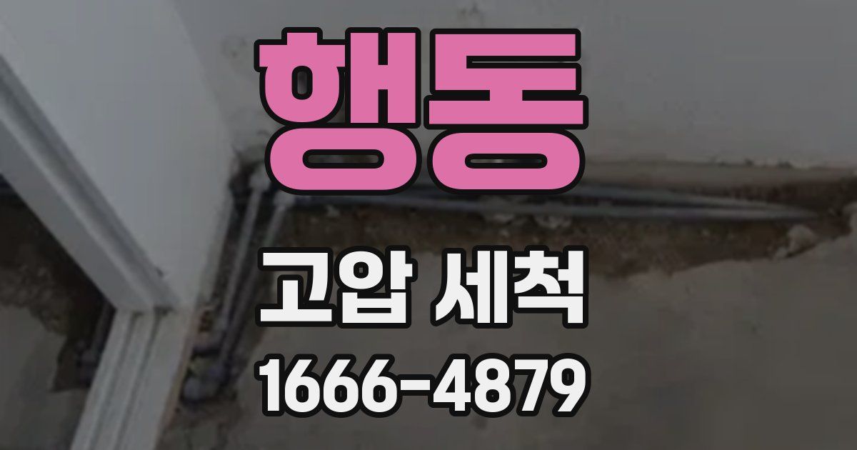행동 고압 세척