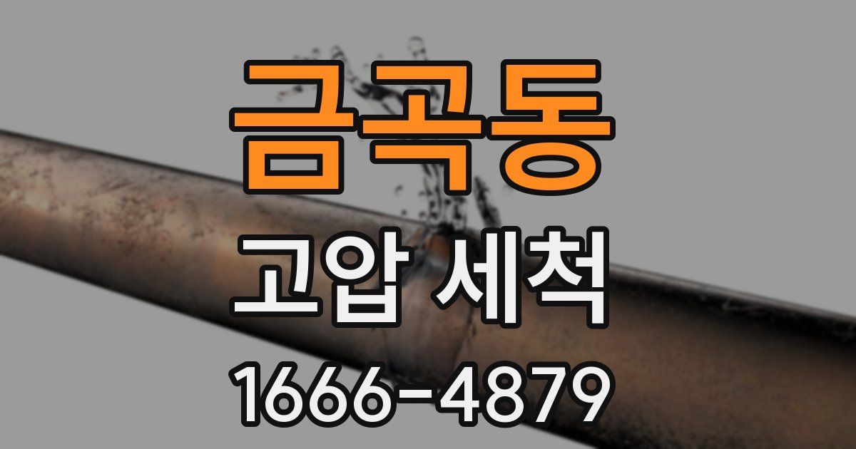 금곡동 고압 세척